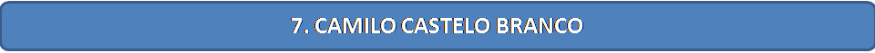 botao7