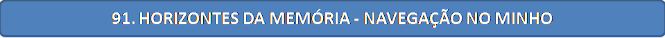 botao91